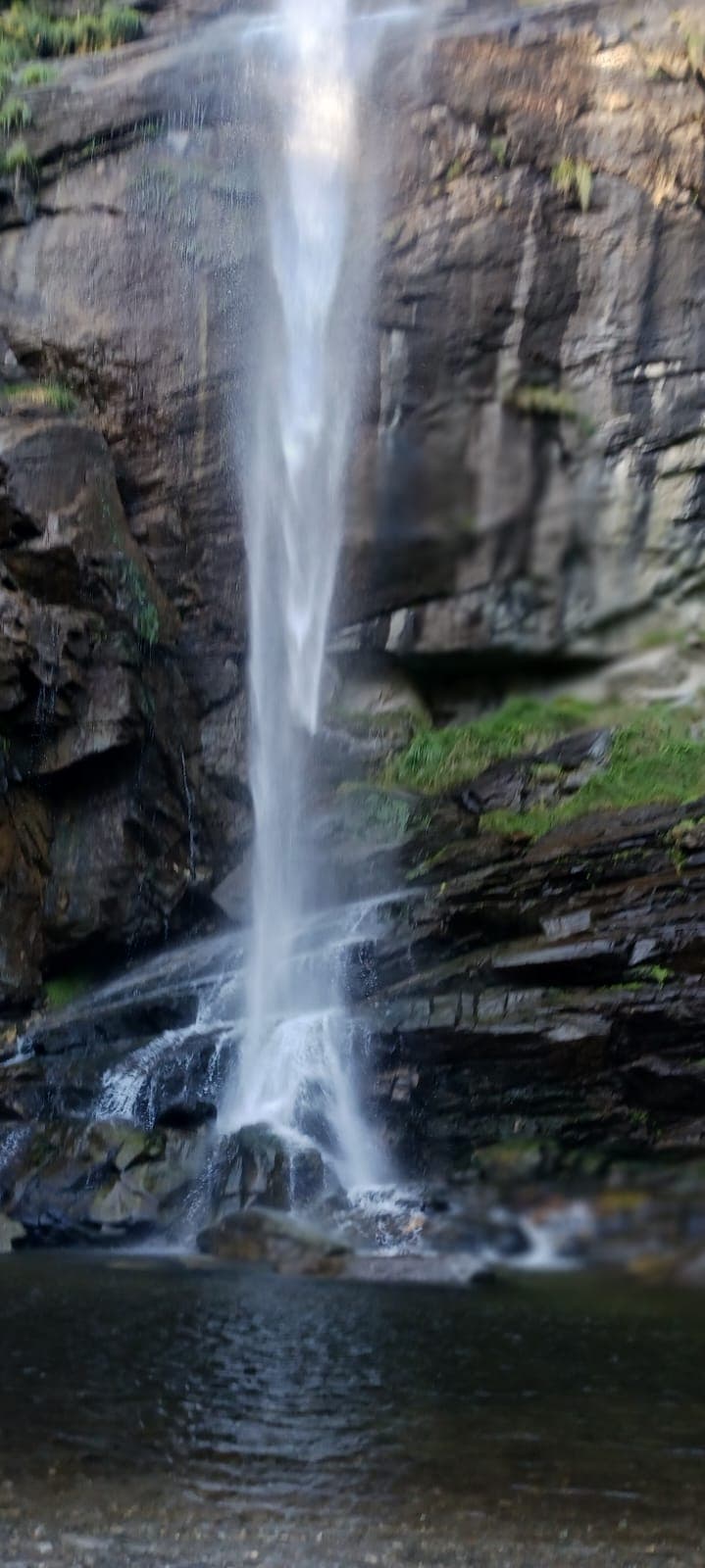 A serene waterfall cascading down rocks
